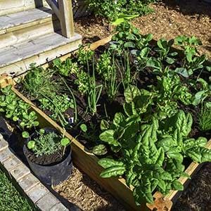 Home garden composting tips