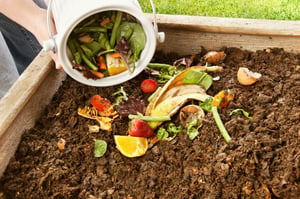 Backyard Compost Turn Browns and Greens into Gold