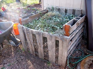 Backyard Composting In The Mountains