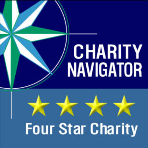 Charity-Nav-4-star-WEB-300x300