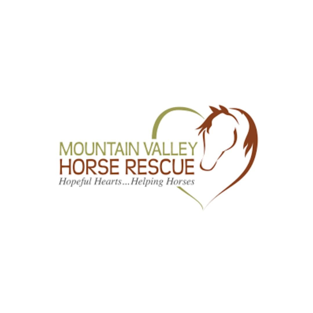 Mountain Valley Horse Rescue