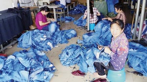 High Enviornmental Cost of Making Blue Jeans Sustainable Clothing