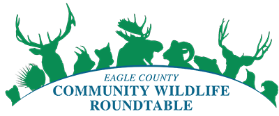 Logo-For-Website_EC_MK