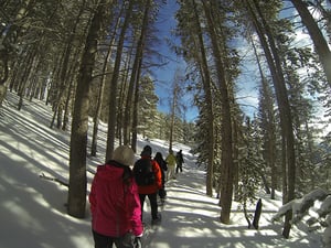 Snowshoe-Hikes-Sylvan-Lake-State-Park-Colorado-McKenzie-Gulch